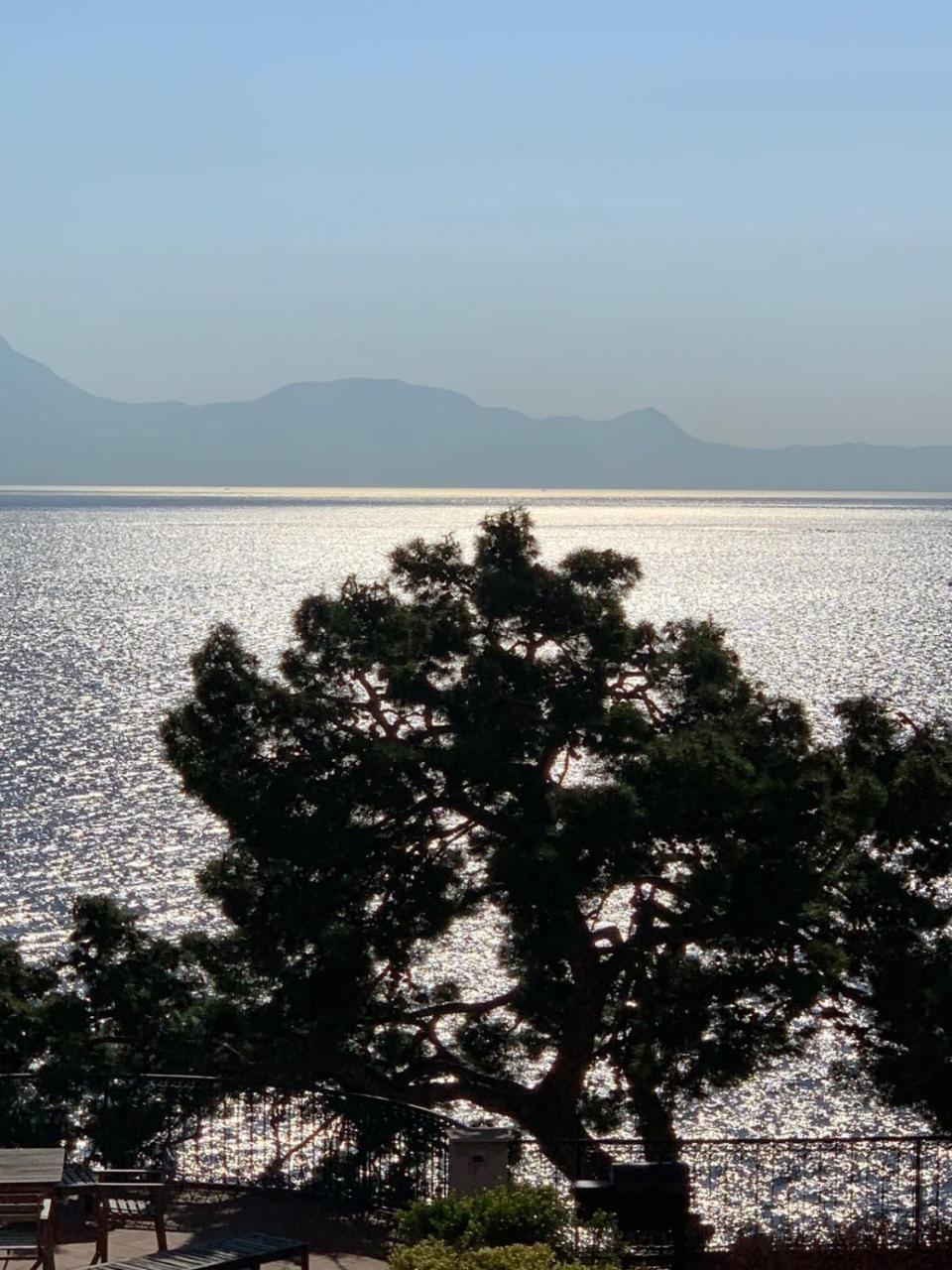 Primopianoposillipo Bed & Breakfast Napoli Dış mekan fotoğraf